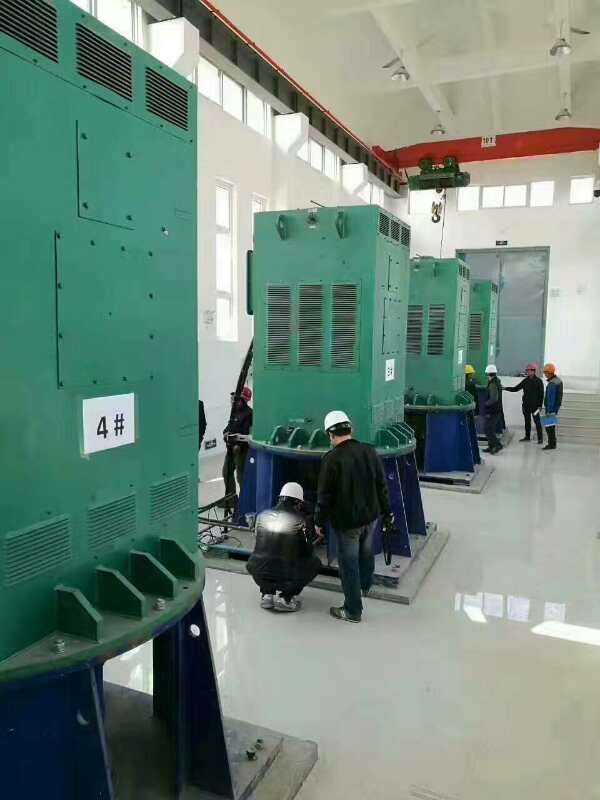Y630-10某污水处理厂使用我厂的立式高压电机安装现场报价