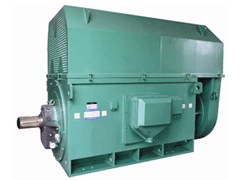 Y630-10YKK系列高压电机